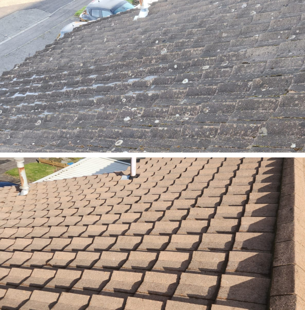 Before and After Roof Cleaning