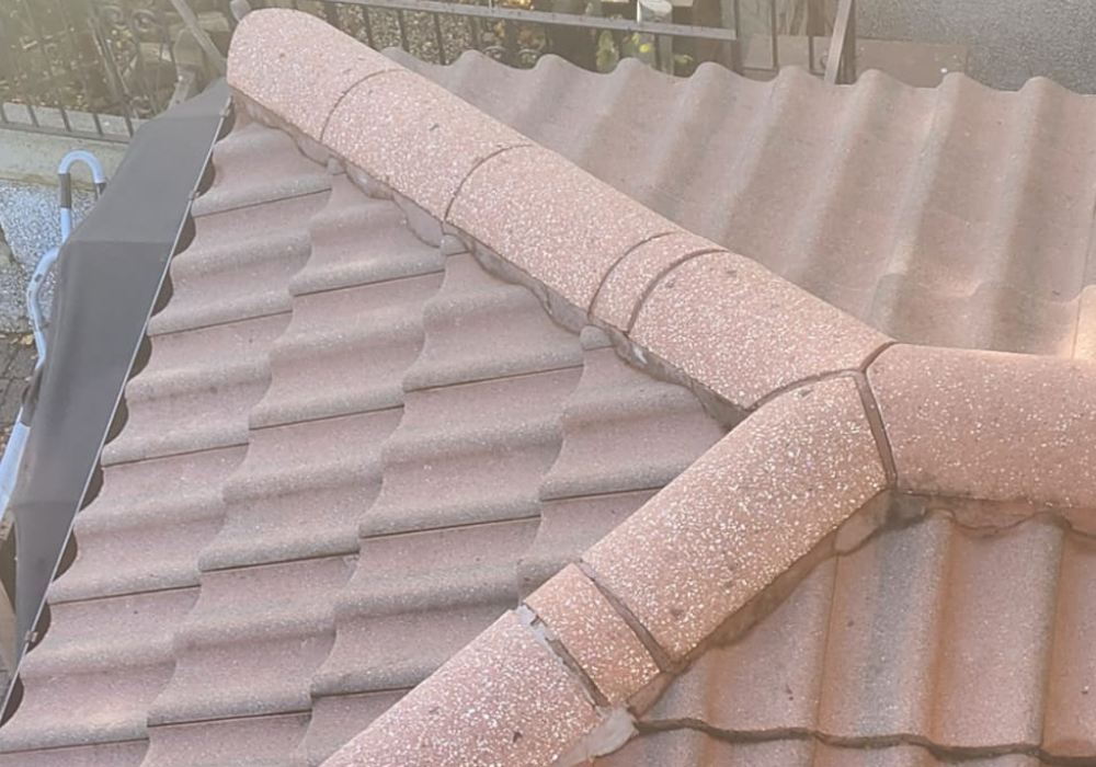 Freshly Cleaned Roof