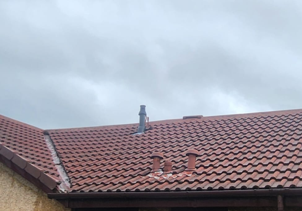 Roof Cleaning Company