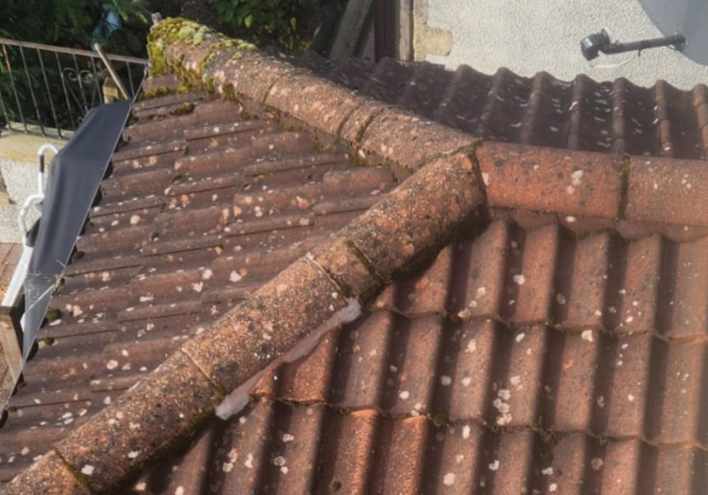 Dirty Roof Before Cleaning