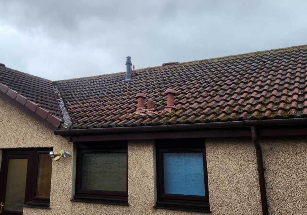 Roof Cleaning Services
